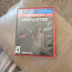 PS4 Uncharted Game 