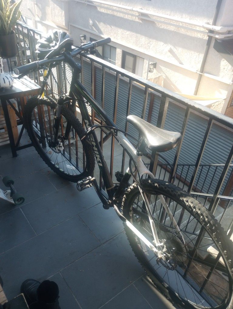 Adult Mountain Bike For Sale