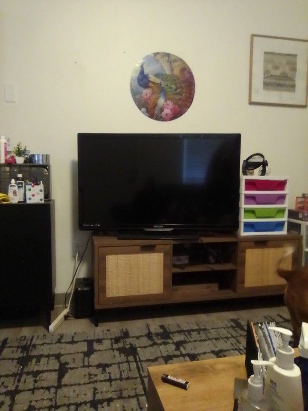 46" Flat Screen Phillips 