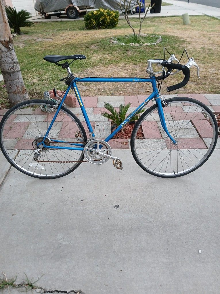 Schwinn World Sports Bike