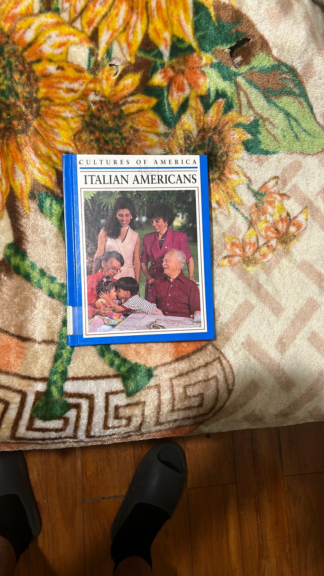 Italian Americans Book
