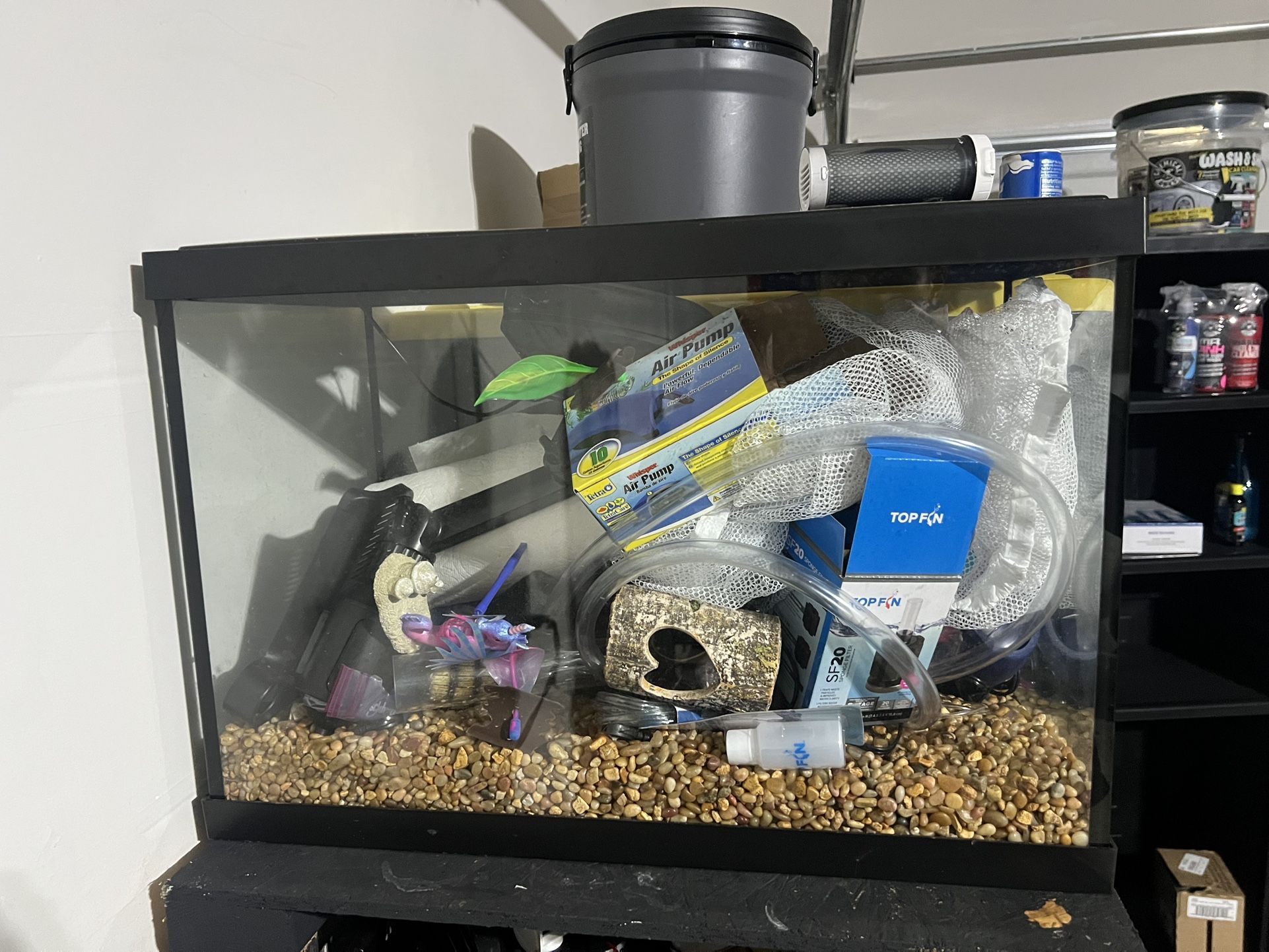 Fish Tank