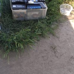 Dvd's And VHS Movies 