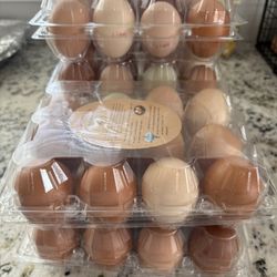 Farm Fresh Eggs 