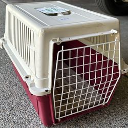 Small Pet Carrier Plastic 