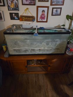 Huge FishTank!! (just needs tlc)
