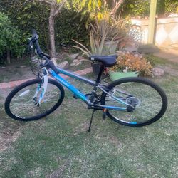 Nishiki 24” Girls Bike