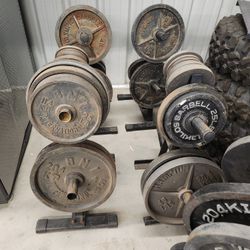 Gym Weights Olympic Size 45s And 35s