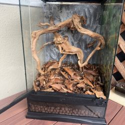 Terrarium 