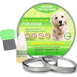 RibRave Flea Collar for Dogs, Dog Flea Collar 8 Months Protection, Flea and Tick Collar for Dogs, Flea Prevention for Dogs 2 Pack with Comb and Preven
