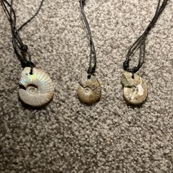 Three ammonite fossil necklaces.