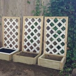 Raised Planter With White Lattice 