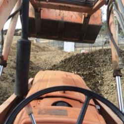 Free Aged Manure/compost