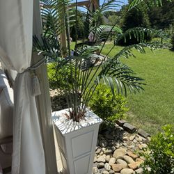 Faux Palm Tree Plus White Planter Plus White rocks