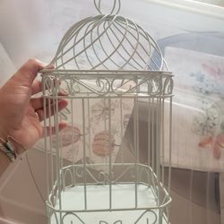 Wedding Cage /sweet 16