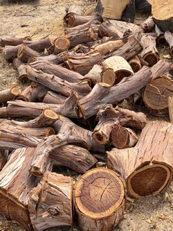 Eucalyptus firewood