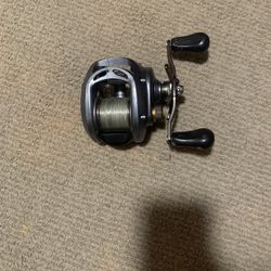 Fishing Rods/reels DIAWA PENN SHIMANO AVET