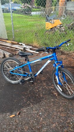 Pedal bike