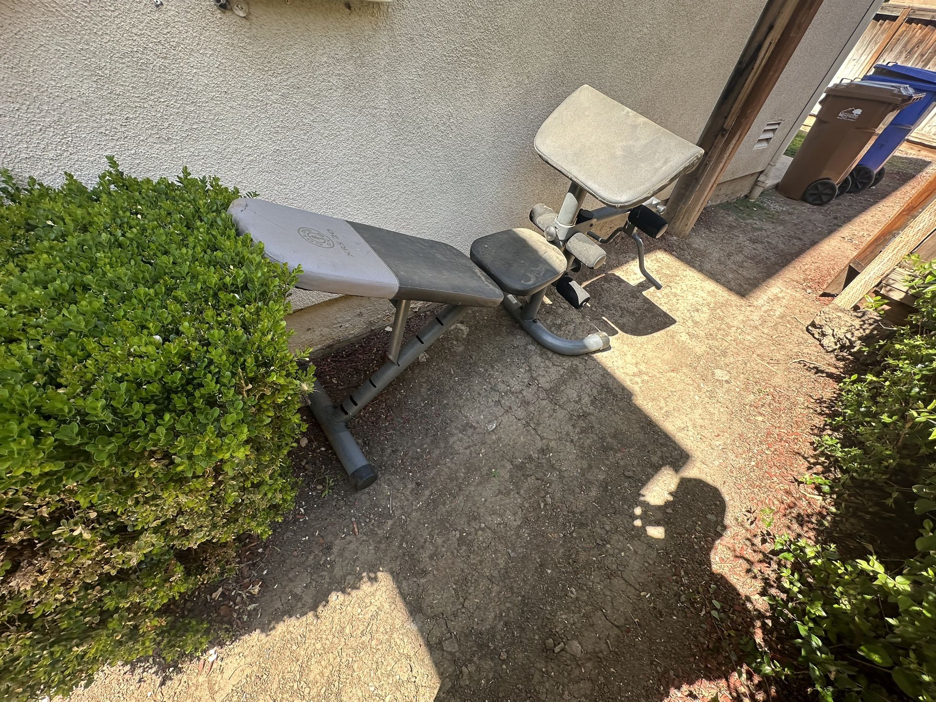 Bench
