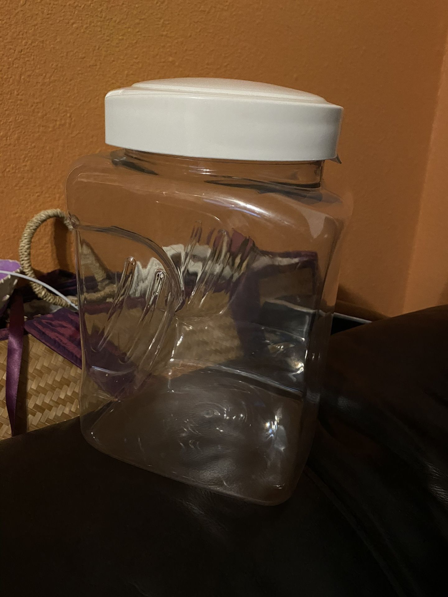 Snap Container 8 1/2 In Delivery Obo