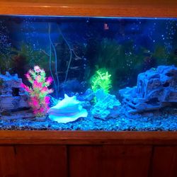 Aquarium, Fish Tank, stand, filter, light