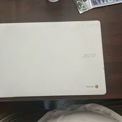 Acer Chromebook 315 Silver 15 Inch Screen