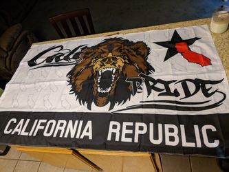 California pride 3x5 standard size flag, brand new. Perfect for the yard or mounting to a truck or SUV. Mix or match any two of my flags for $26