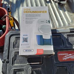 Mini Dehumidifier