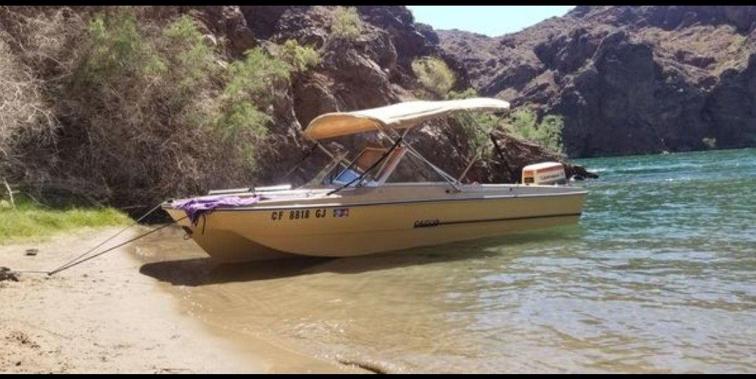 16' Beautiful All Original Gold Flake 1978 TriHull OPEN BOW