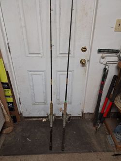 salt water poles