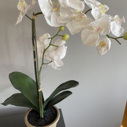 Potted Faux Orchids 