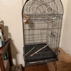 Bird cage