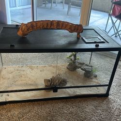 Terrarium 