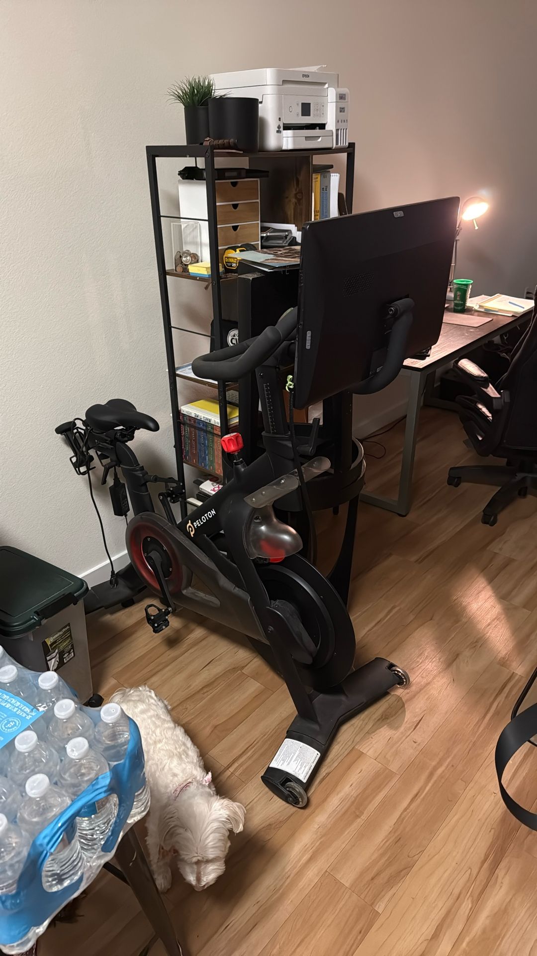 Peloton Bike With Weights