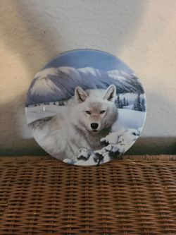 porcelain collectors plate