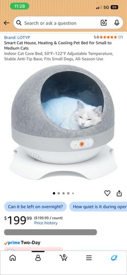 Cat/pet bed