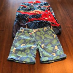 Swim Trunks 