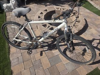 $20 bicycle