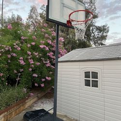 54” Lifetime Adjustable Portable Basketball Hoop