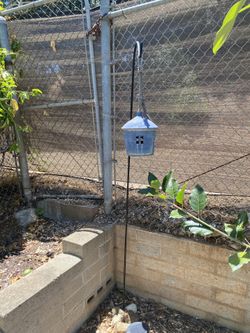 Bird Feeders