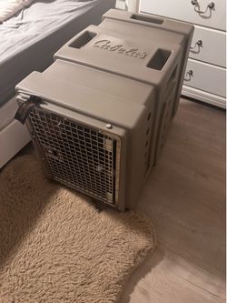 Cabela Dog Kennel - Intermediate