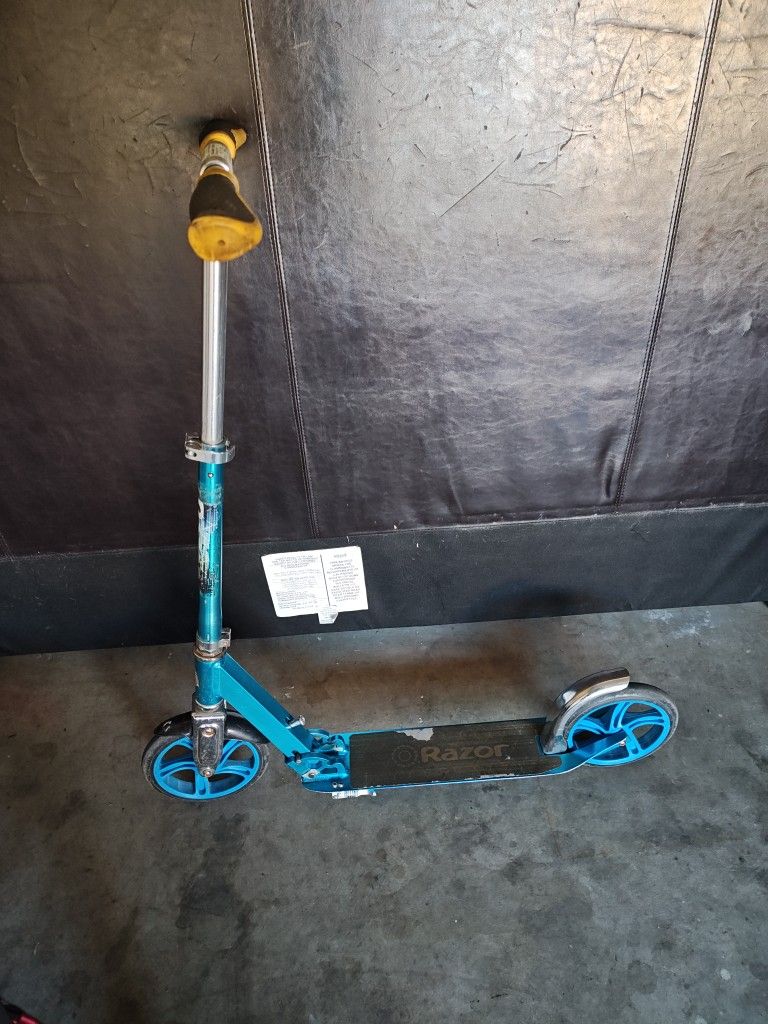 Adult Scooter