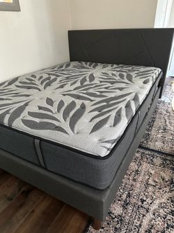 Queen bed and mattress