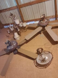 Ceiling fans and light fixtures