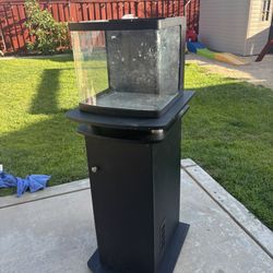 14 Gallon Fish Tank Setup