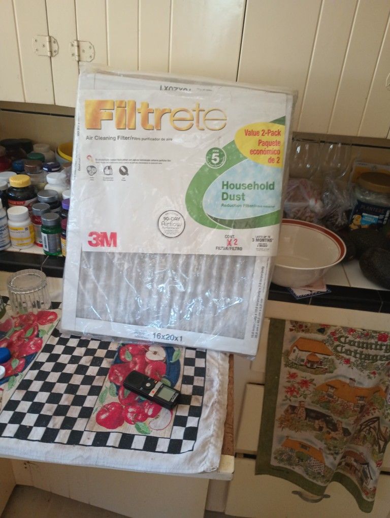Filters For Home For Two 16x20x1 $8
