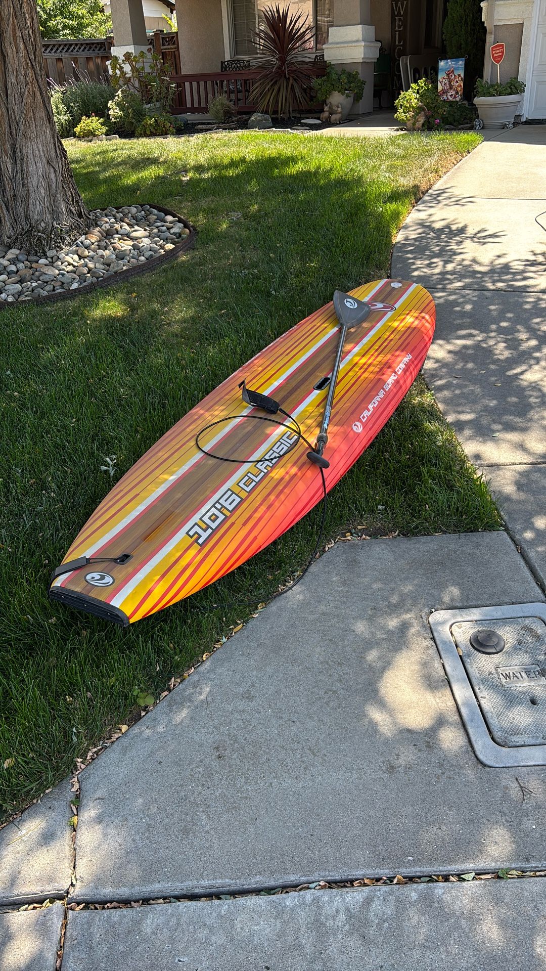 Paddle Board