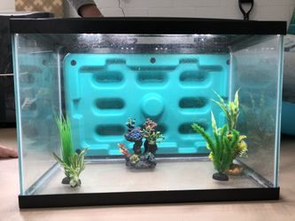 Fish tank