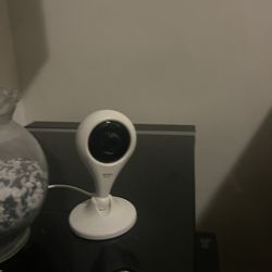 Indoor Cameras 
