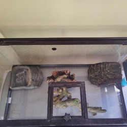 55 gallon turtle snake terrarium 